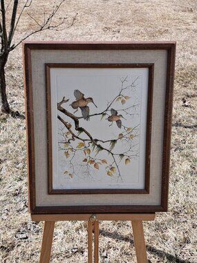 David Hagerbaumer Print Signed & Numbered Hummingbirds